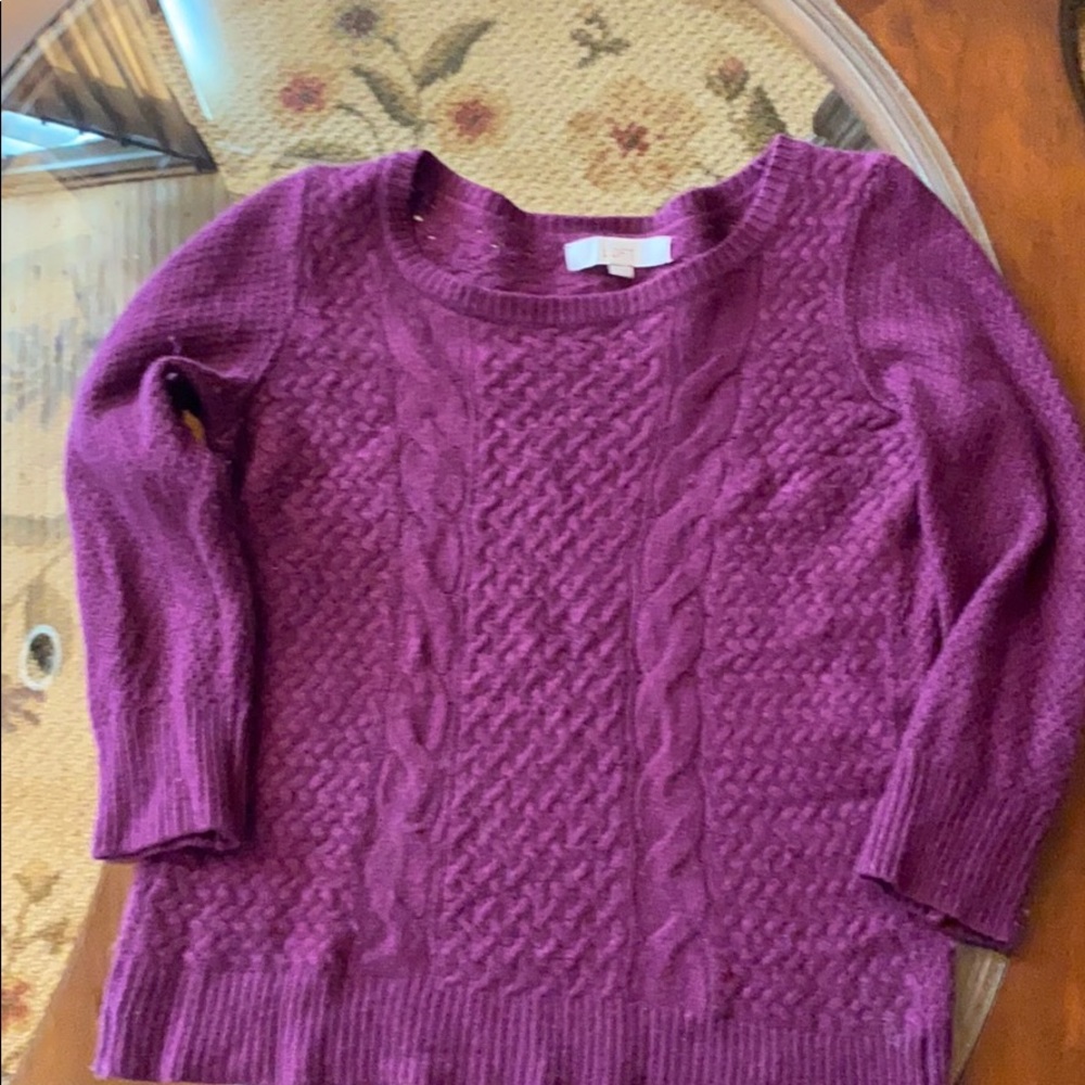 Loft deep plum comfy sweater.